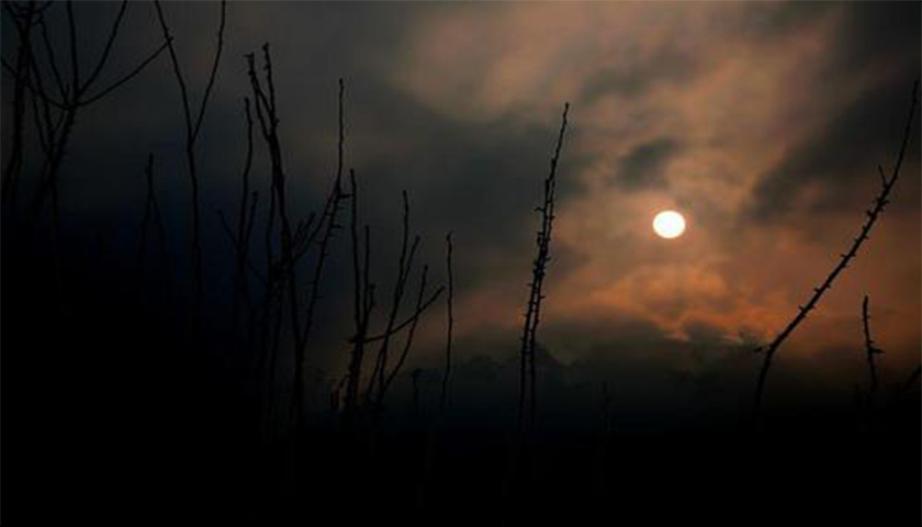 怎样进行网站设计才能满足客户要求